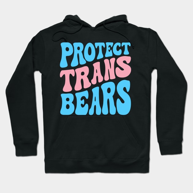 Protect Trans Bears Hoodie by Pridish